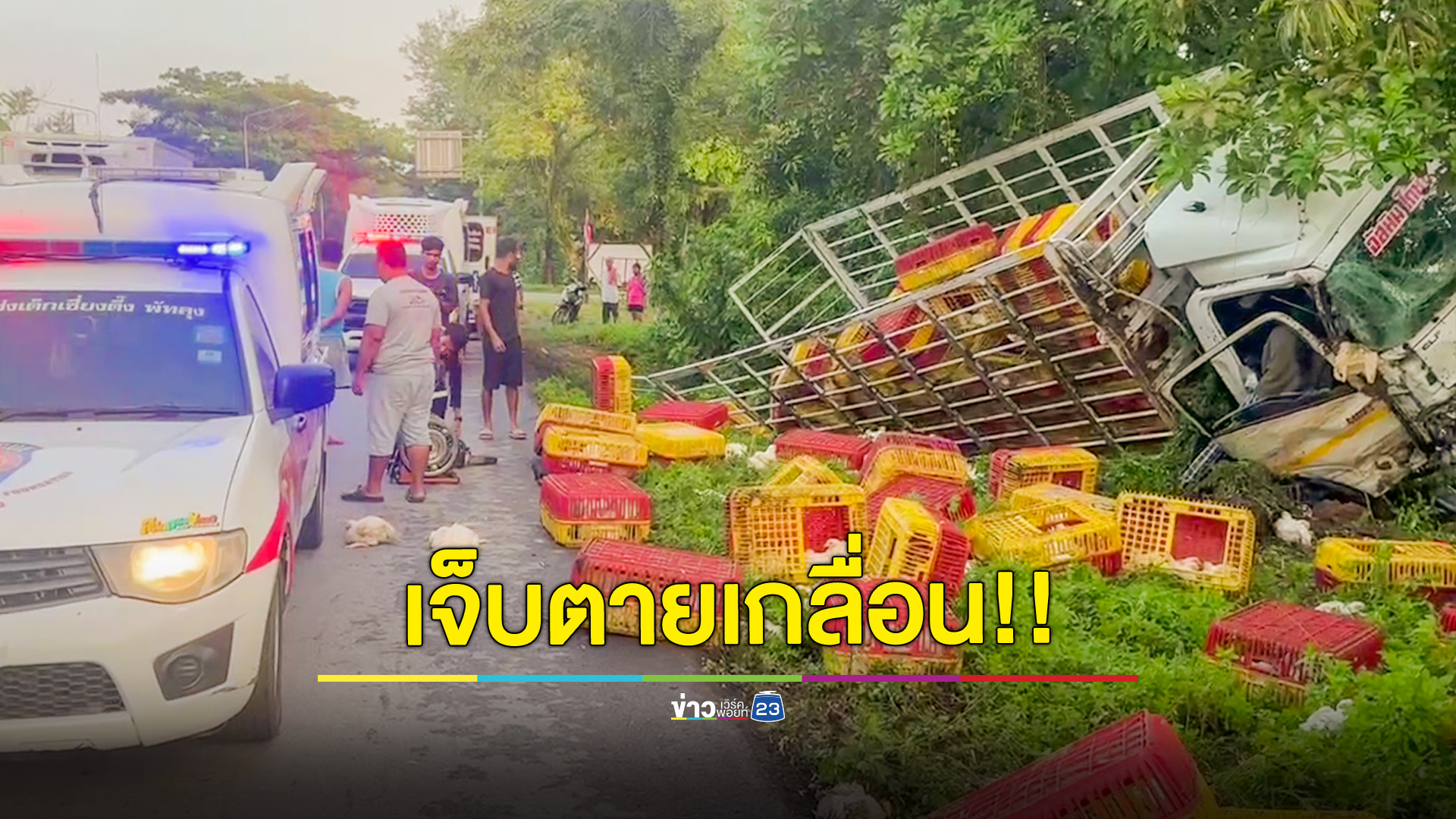 คนขับบรรทุก 6 ล้อขนไก่หลับในเสียหลักลงข้างทาง คนบาดเจ็บ 3 ราย ไก่ตายหลายตัว