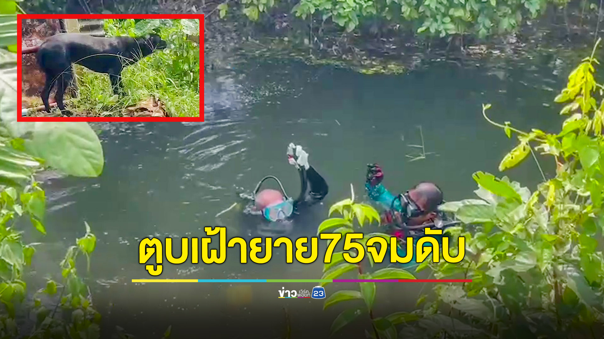 สลด! ยาย75ปีจมหายไปในสระน้ำสุนัขเดินวนหาไม่ห่าง