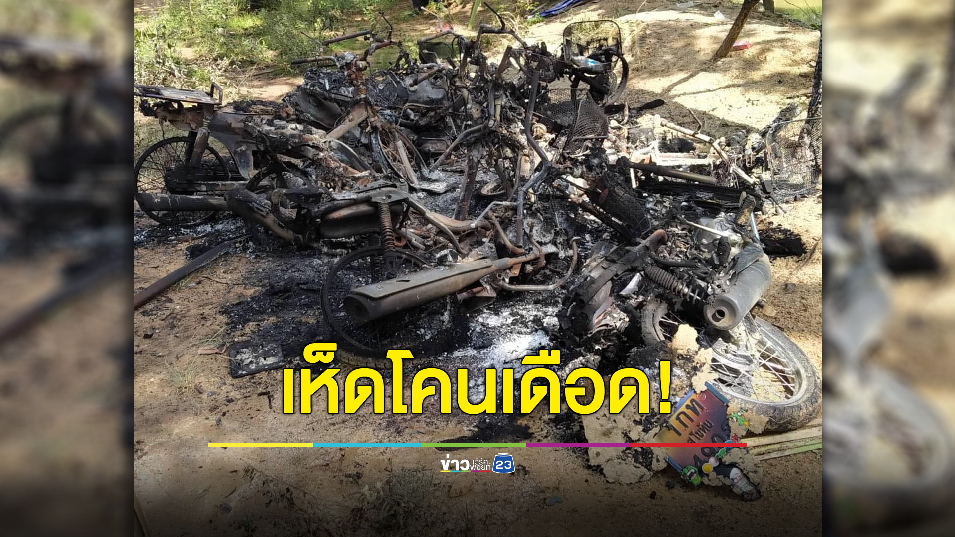 เห็ดโคนเดือด ข้ามถิ่นมาเก็บเจอเผารถวอด