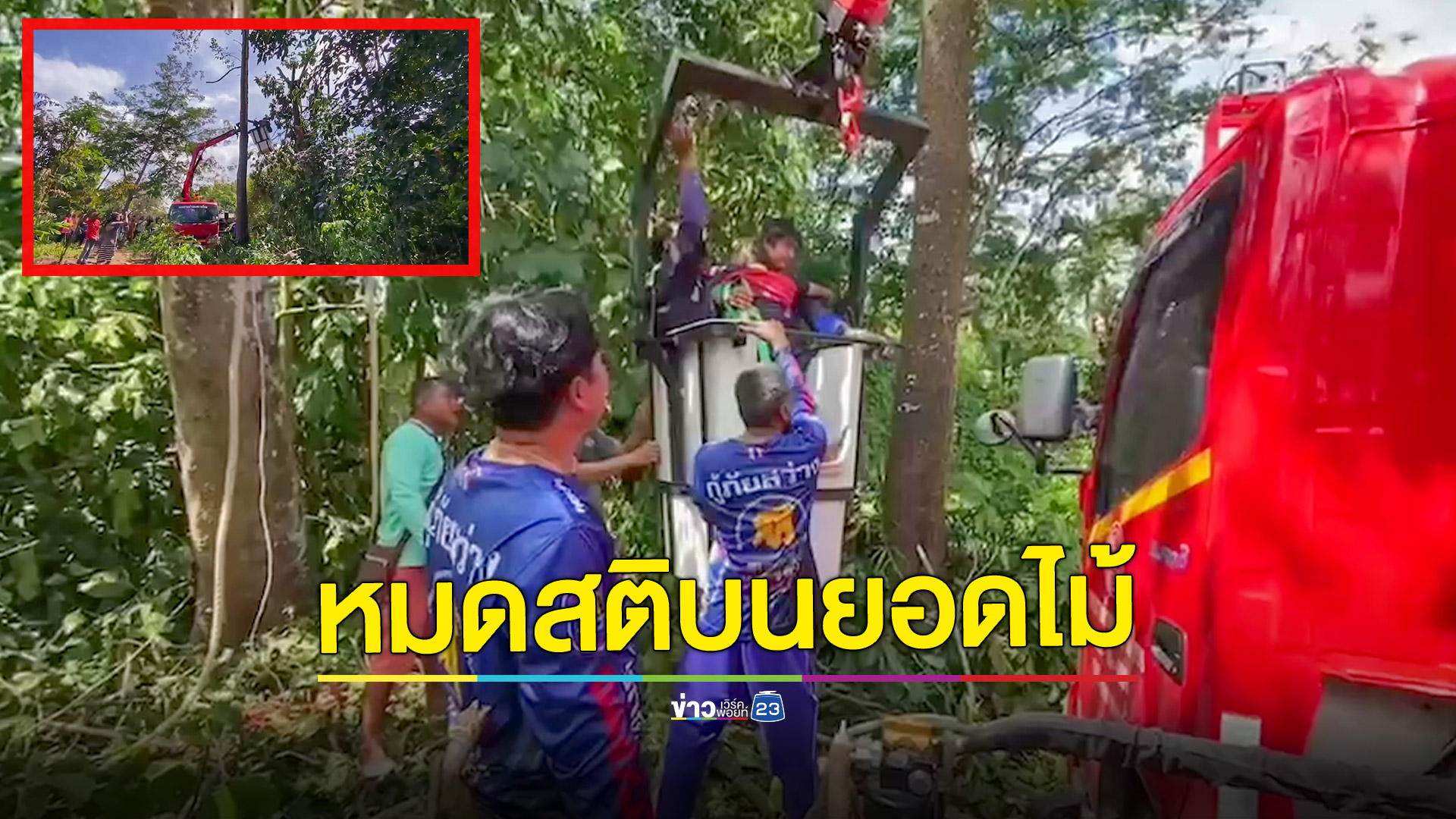 ชายรับจ้างตัดต้นไม้เป็นลมหมดสติบนยอดไม้สูง 10 เมตร เจ้าหน้าที่เร่งใช้รถกระเช้าขึ้นช่วยเหลือ