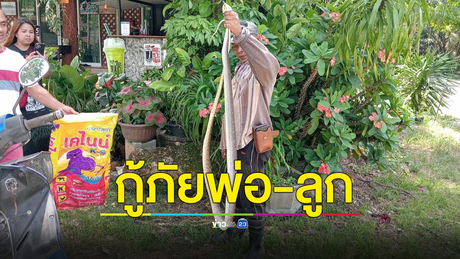 ชาวบ้านแห่ดูกู้ภัยพ่อ-ลูก จับงูสิงดง เลื้อยซุกสนามบาส