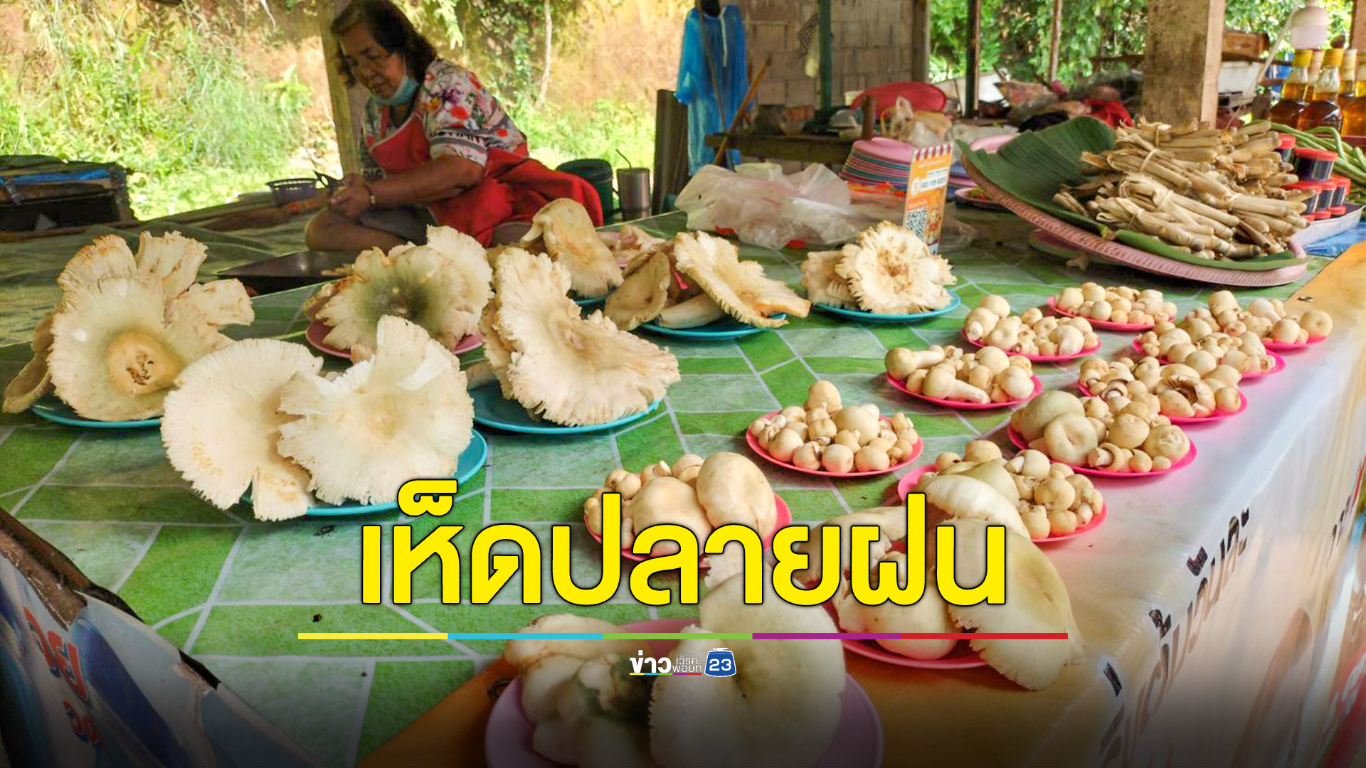 ชาวบ้านเข้าป่าหาเห็ดมาขายข้างทาง สร้างรายได้หลังฤดูเพาะปลูก