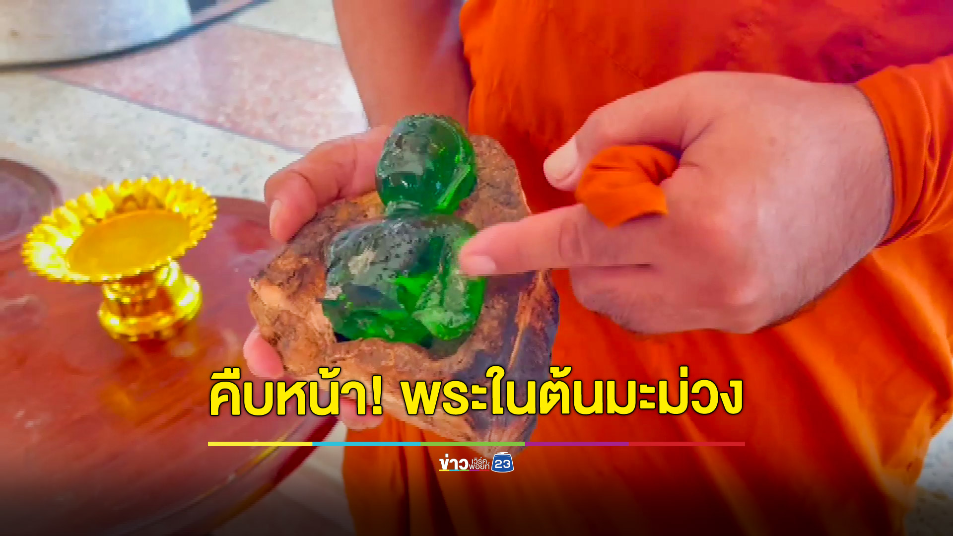 คืบหน้า!พระแก้วมรกตในต้นมะม่วง ญาติโยมเตรียมตกแต่งไว้สักการะ ร่างทรงเผยอีกครึ่งท่อนยังอยู่ในต้นไม้