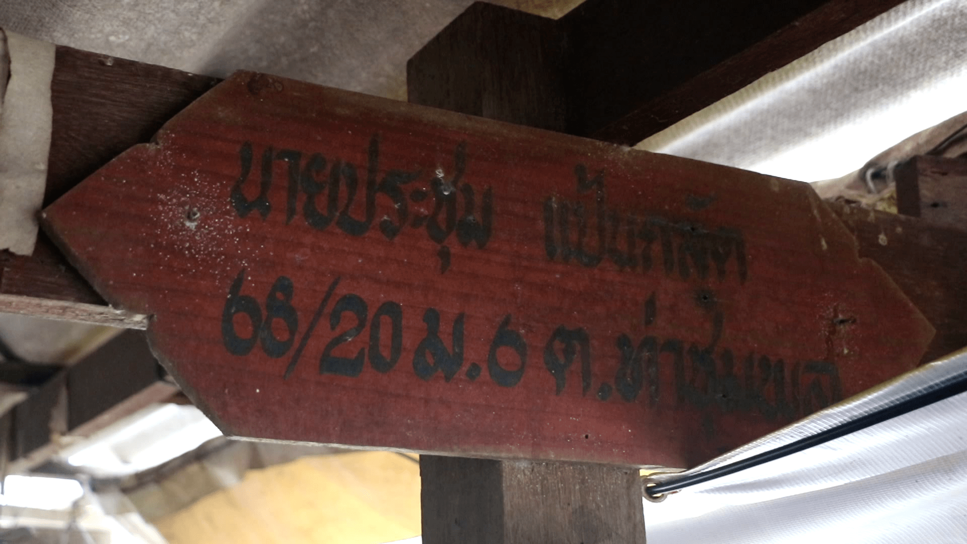 ฮือฮา! เจอจิ้งจกสีชมพู ซุกโซฟา เจ้าของบ้านไม่เคยเห็น เชื่อน่าจะเป็นจิ้งจกให้โชค