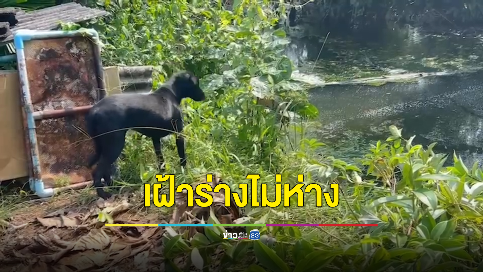 สลด หญิงสูงวัยป่วยรุมเร้า บ่นท้อแท้ ไม่อยากมีชีวิตต่อ พบเป็นศพก้นสระน้ำในสวนผลไม้