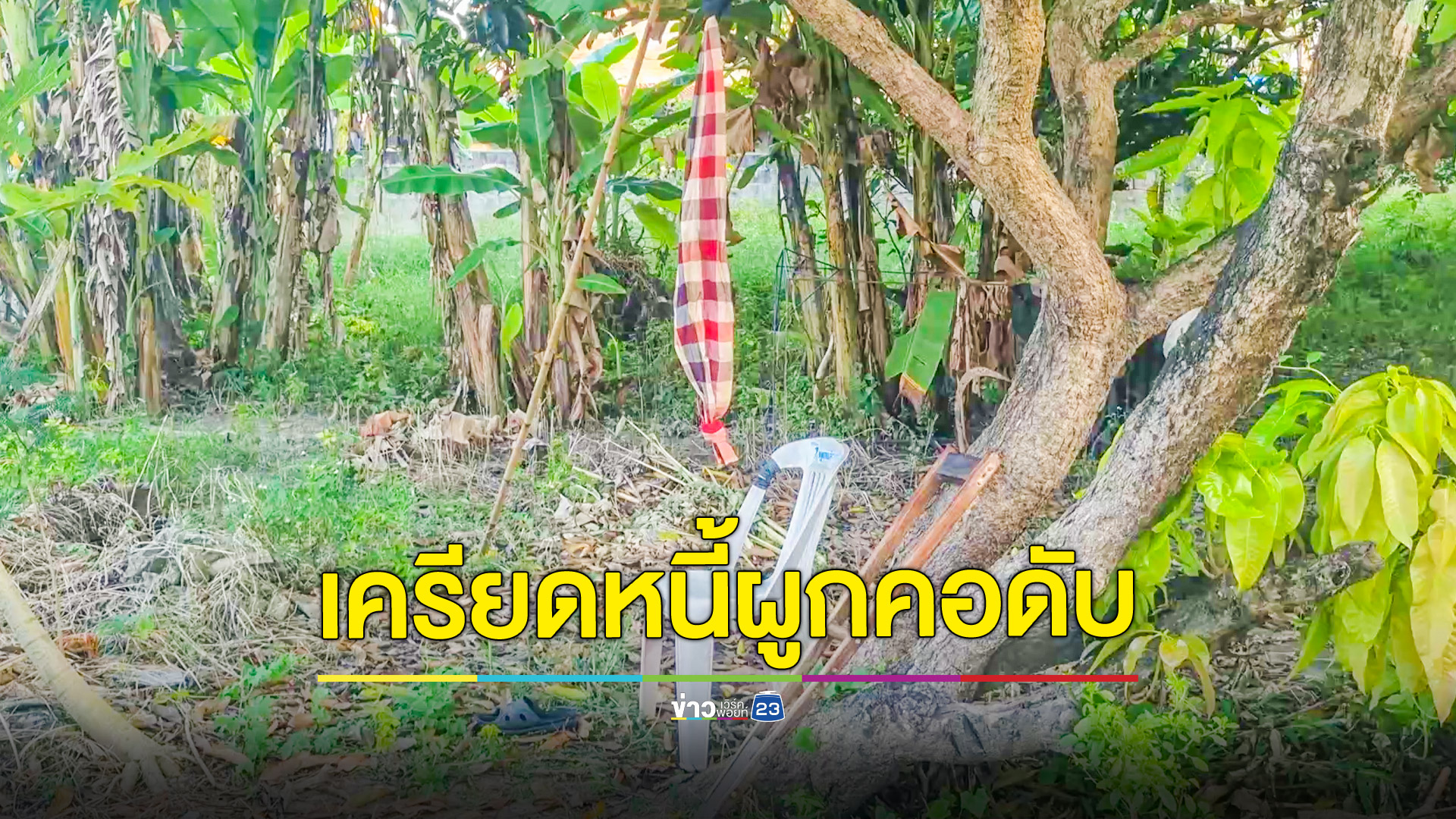 ลุง57ปีป่วยทำงานไม่ได้คิดสั้นผูกคอตายใต้ต้นมะม่วง