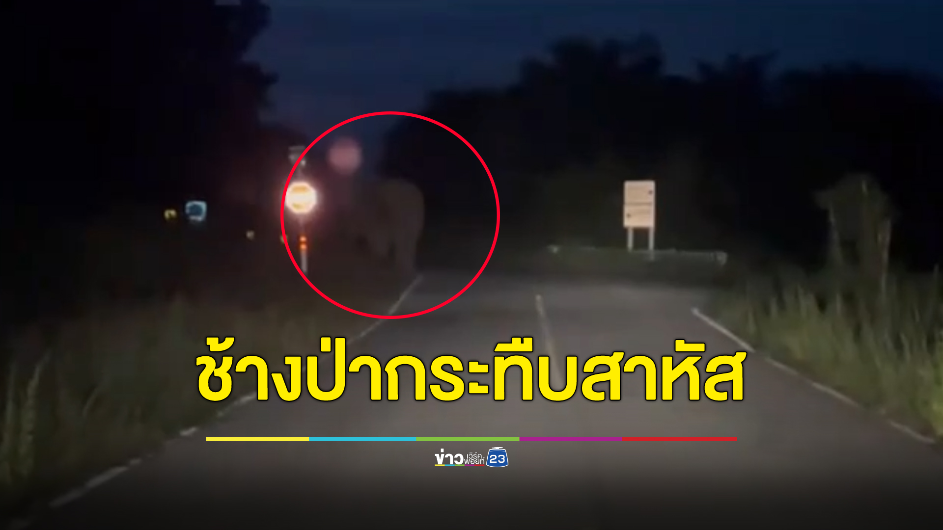 ระทึก ชาวบ้านโดนช้างป่าบ้านทุ่งพระยาทำร้าย ขณะกำลังร่วมภารกิจผลักดันช้างป่า