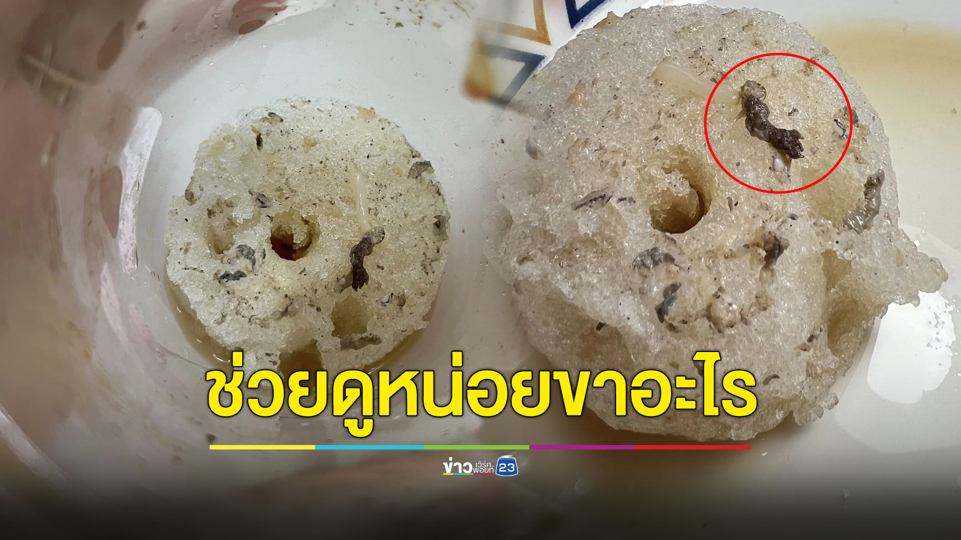 อวสานน้ำปั่น! สาวโพสต์ถามนี่เศษอะไรในน้ำแข็ง