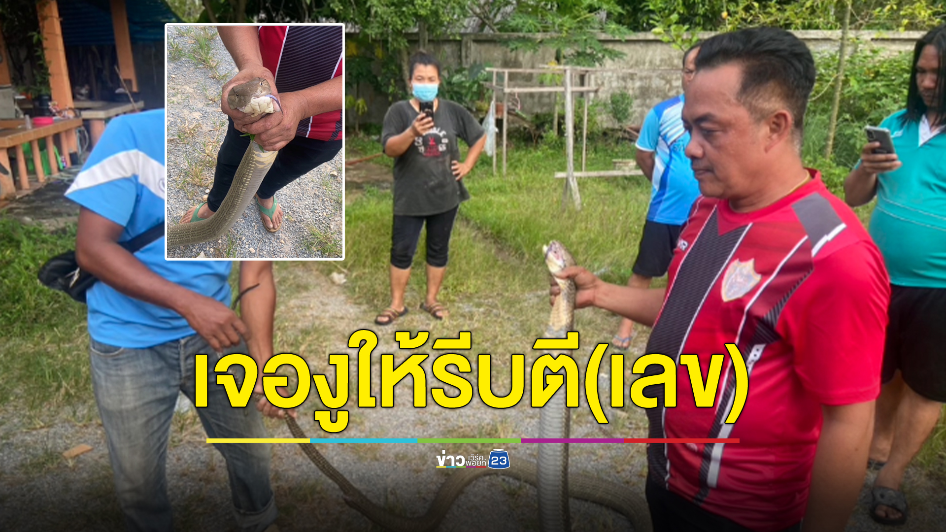 เจองูอย่าตีงู ให้ตีเลขก่อน! เมื่อบองหลา 4.5 ม. โผล่โรงไม้