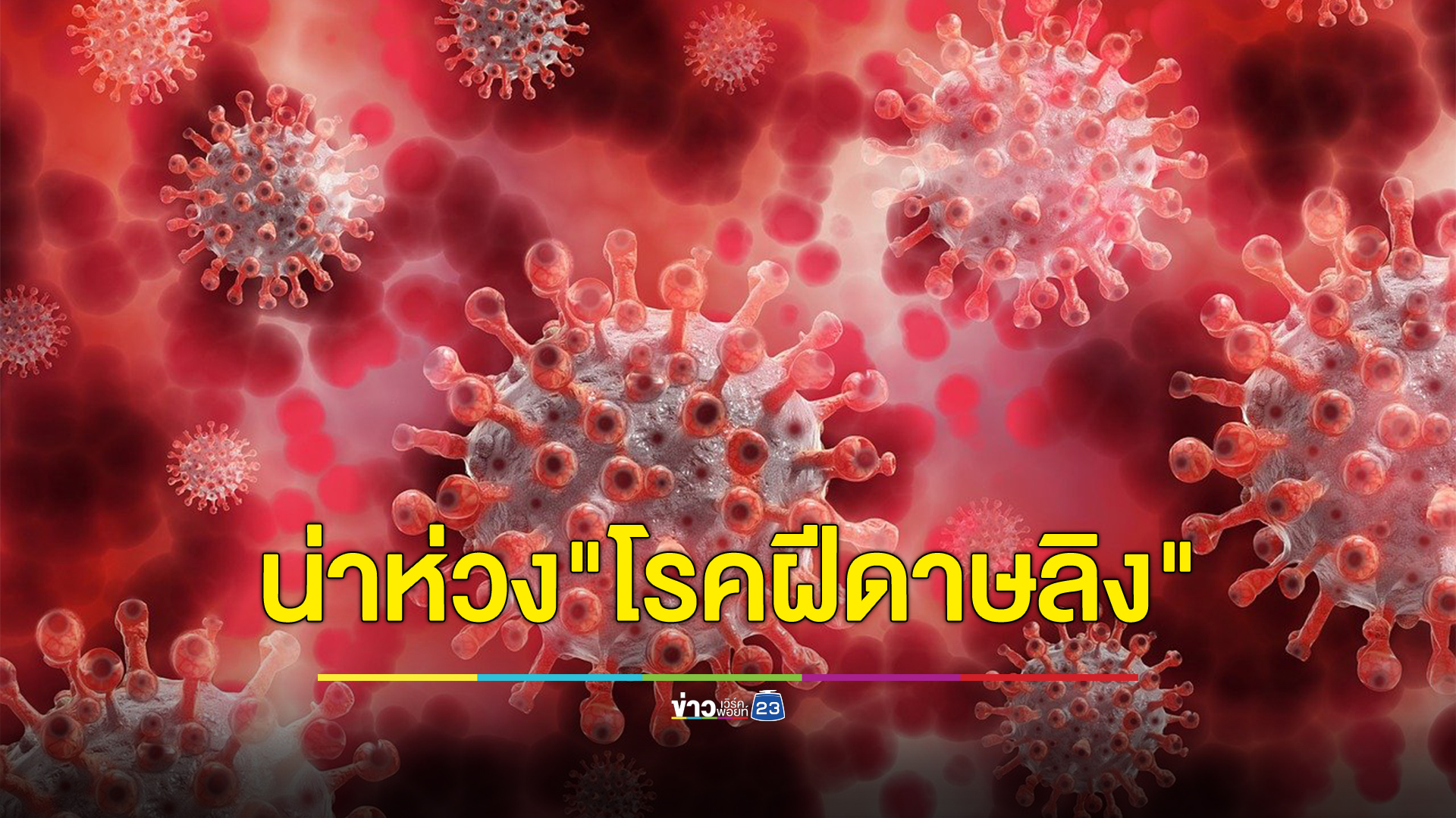 "โรคฝีดาษลิง" พบติดเชื้อเพิ่ม 24 ราย เตือนผู้ป่วย HIV เสี่ยงติดเชื้อ