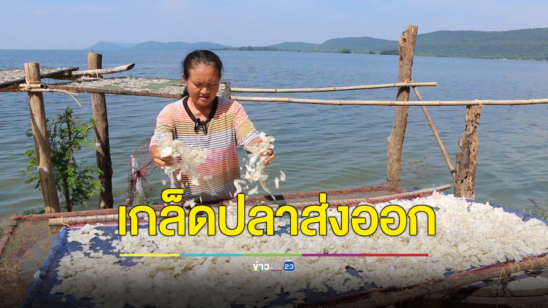 อาชีพใหม่แปลกตา! เกล็ดปลาตากแห้ง