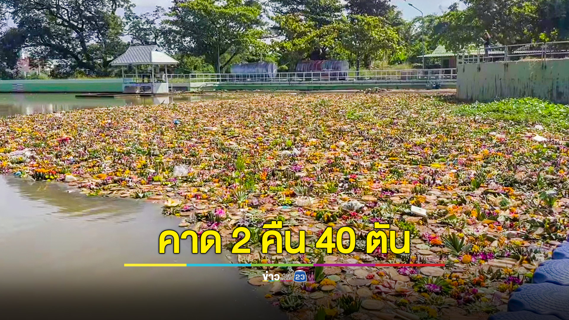 ดักซากกระทงแม่น้ำปิง คาดสองคืน 40 ตัน ชลประทานเตรียมเก็บคัดแยกทำปุ๋ยชีวภาพ