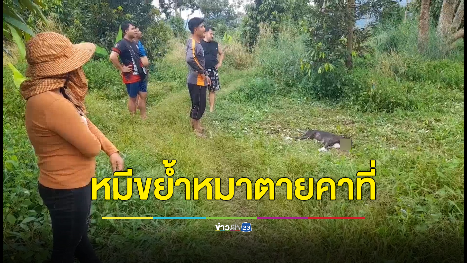 ชาวบ้านผวา! หมีป่าพลัดหลงขย้ำสุนัขสวนผลไม้ตายคาที่ พบรอยกรงเล็บเกลื่อน