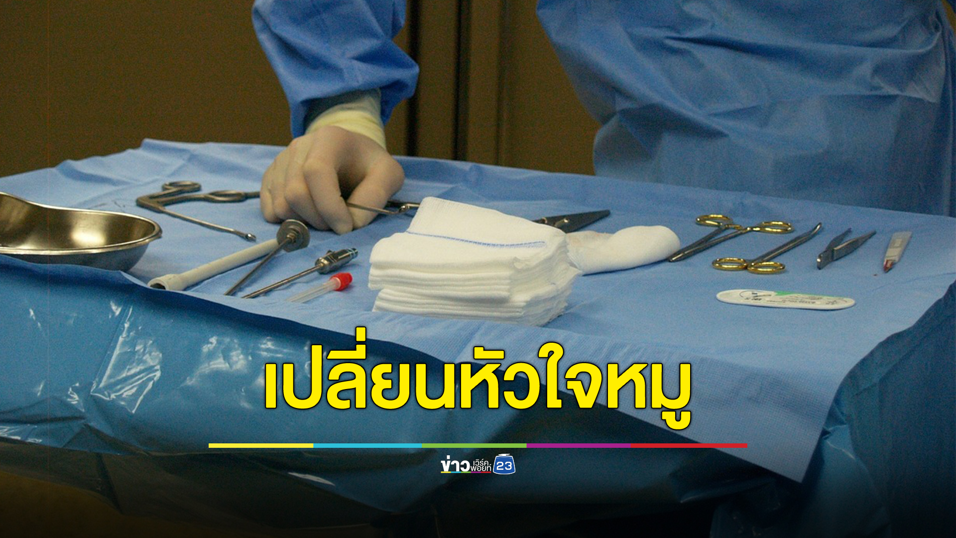 เสียชีวิตแล้ว ชายวัย 58 ปี ปลูกถ่ายหัวใจหมูรายที่ 2 ของโลก หลังอยู่ได้นาน 6 สัปดาห์