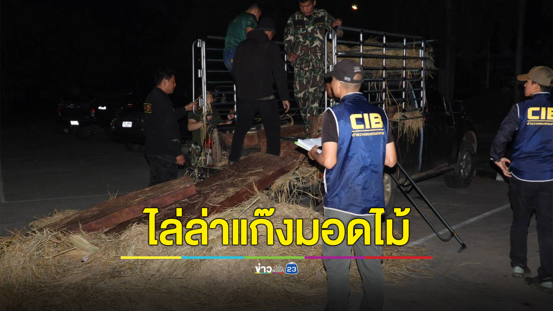 ระทึก! ตร.ป่าไม้ไล่ล่าแก๊งมอดไม้เหิมลอบตัดไม้ประดู่อุทยานแห่งชาติออบหลวง