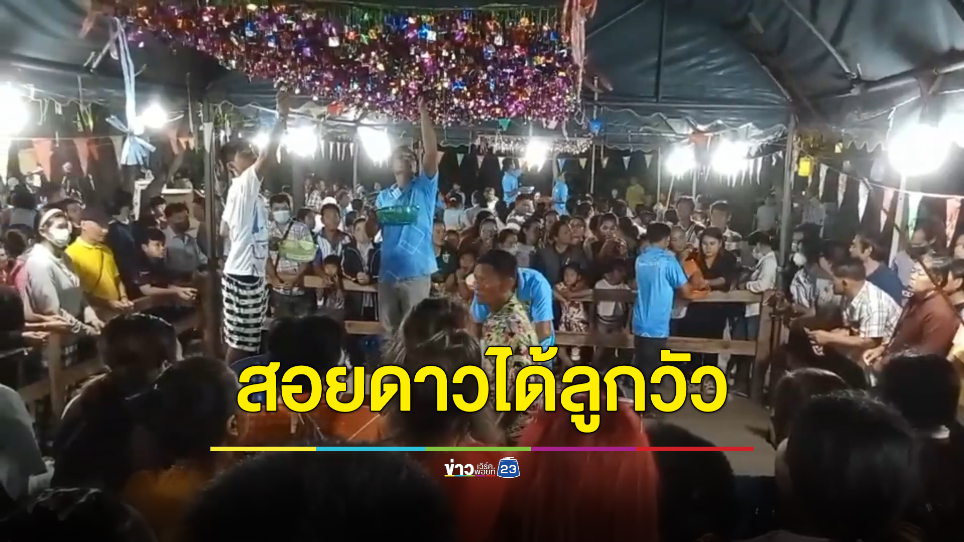มากับดวง ลุง - ป้า ทำบุญสอยดาวงานวัด 100 บาท ได้รางวัลใหญ่ลูกวัวคนละตัวกลับบ้านไปเลี้ยง