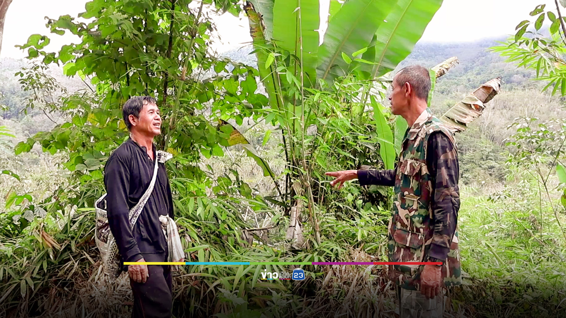 เสือโคร่งวนเวียนไม่ยอมเข้าป่าพบรอยเท้า 10 กว่ารอย ในสวนทุเรียน