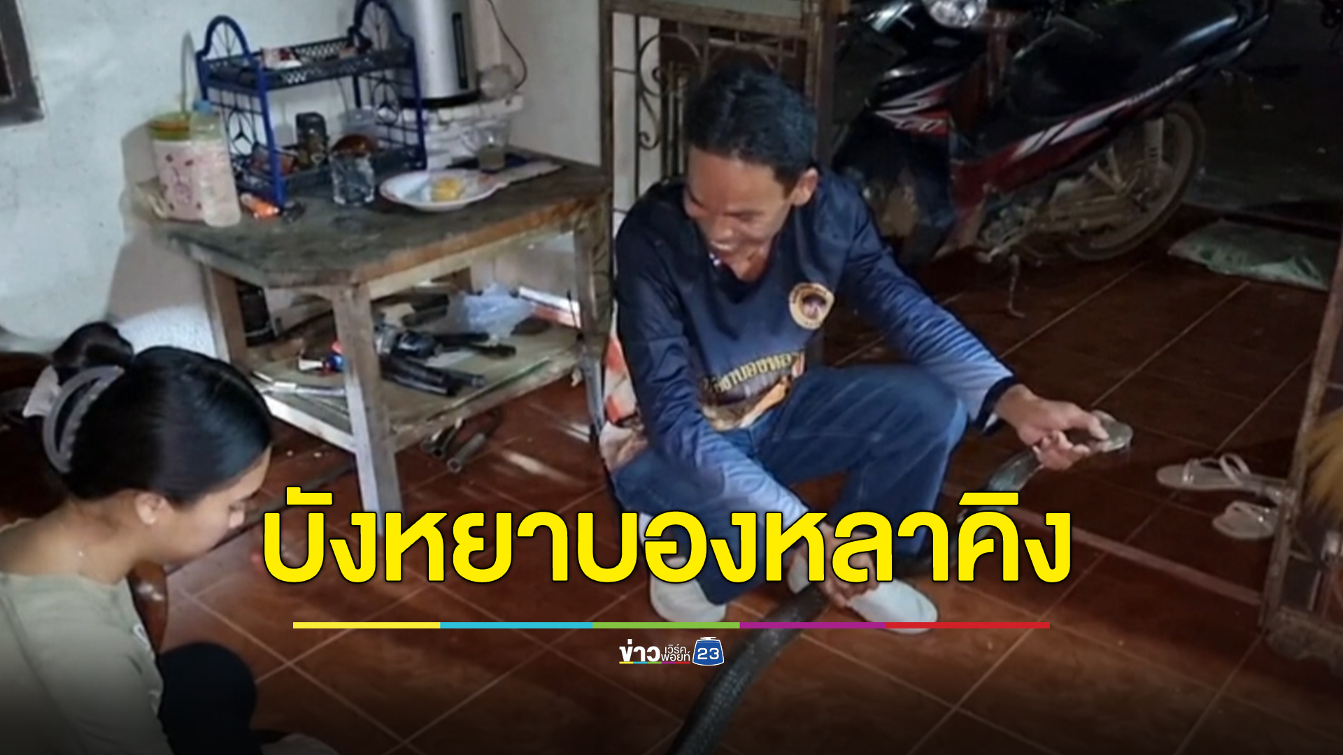 จับงูจงอางมือเปล่า เชื่อ “งูเจ้าที่”