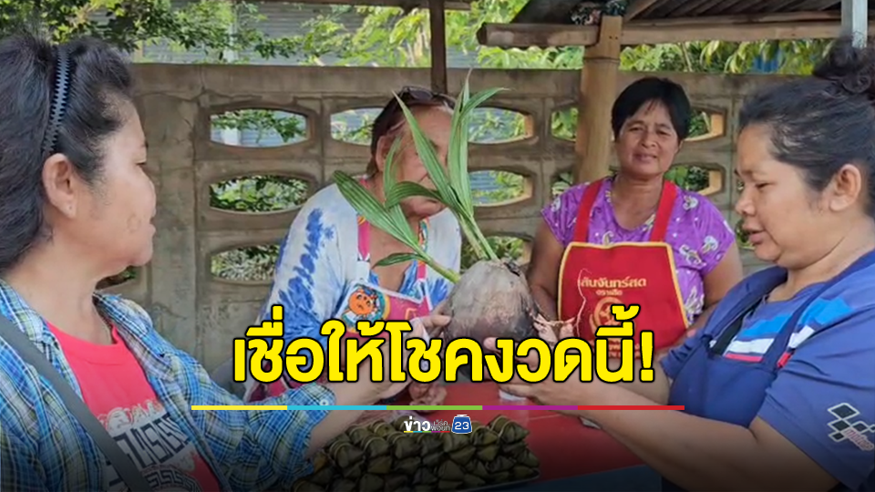 ชาวบ้านแห่ขอเลขเด็ดมะพร้าวประหลาด มีหน่อออกมา 3 หน่อ หรือ ที่ชาวบ้านมักเรียกกันว่า 3 นาง