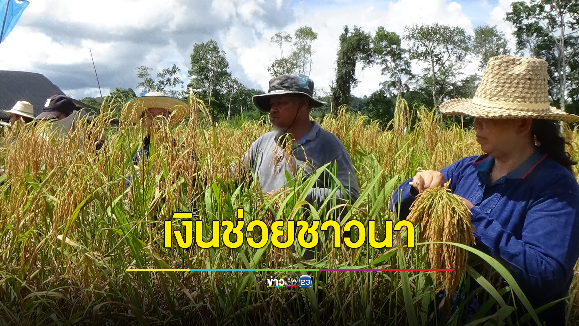 ชาวนาเฮ ครม.เคาะเงิน 5.6 หมื่นล้าน ช่วยชาวนาไร่ละ 1 พัน