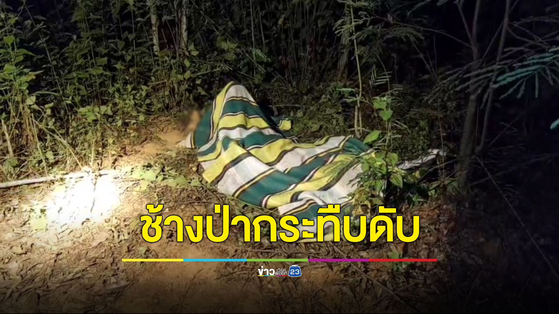 สลด! ชาวบ้านนอนเฝ้าไร่ข้าวโพด เจอช้างป่าทับลานกระทืบดับ