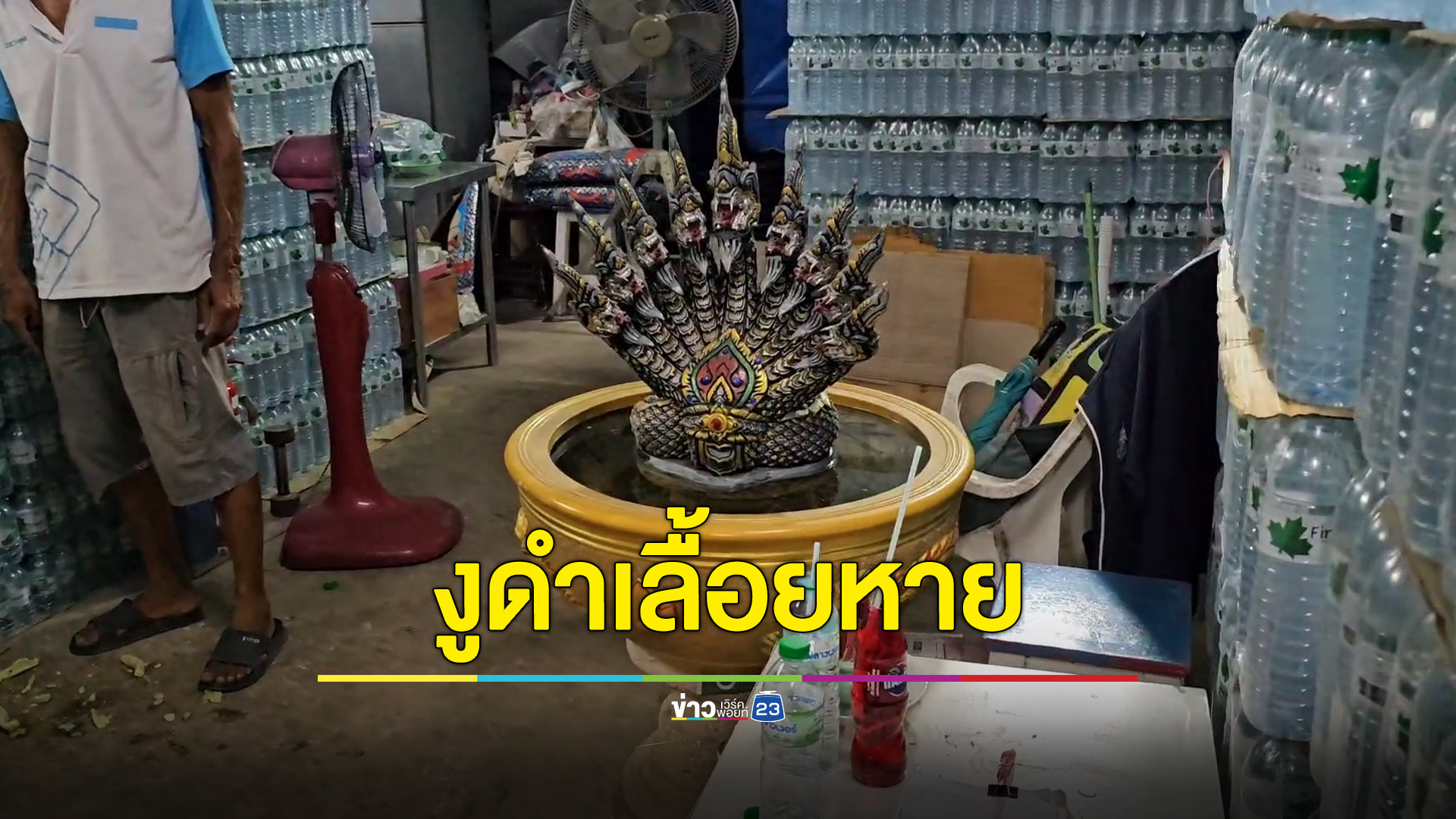 แตกตื่นงูดำเลื้อยเข้าร้าน ผ่านจุดบูชาพญานาค 9 เศียร