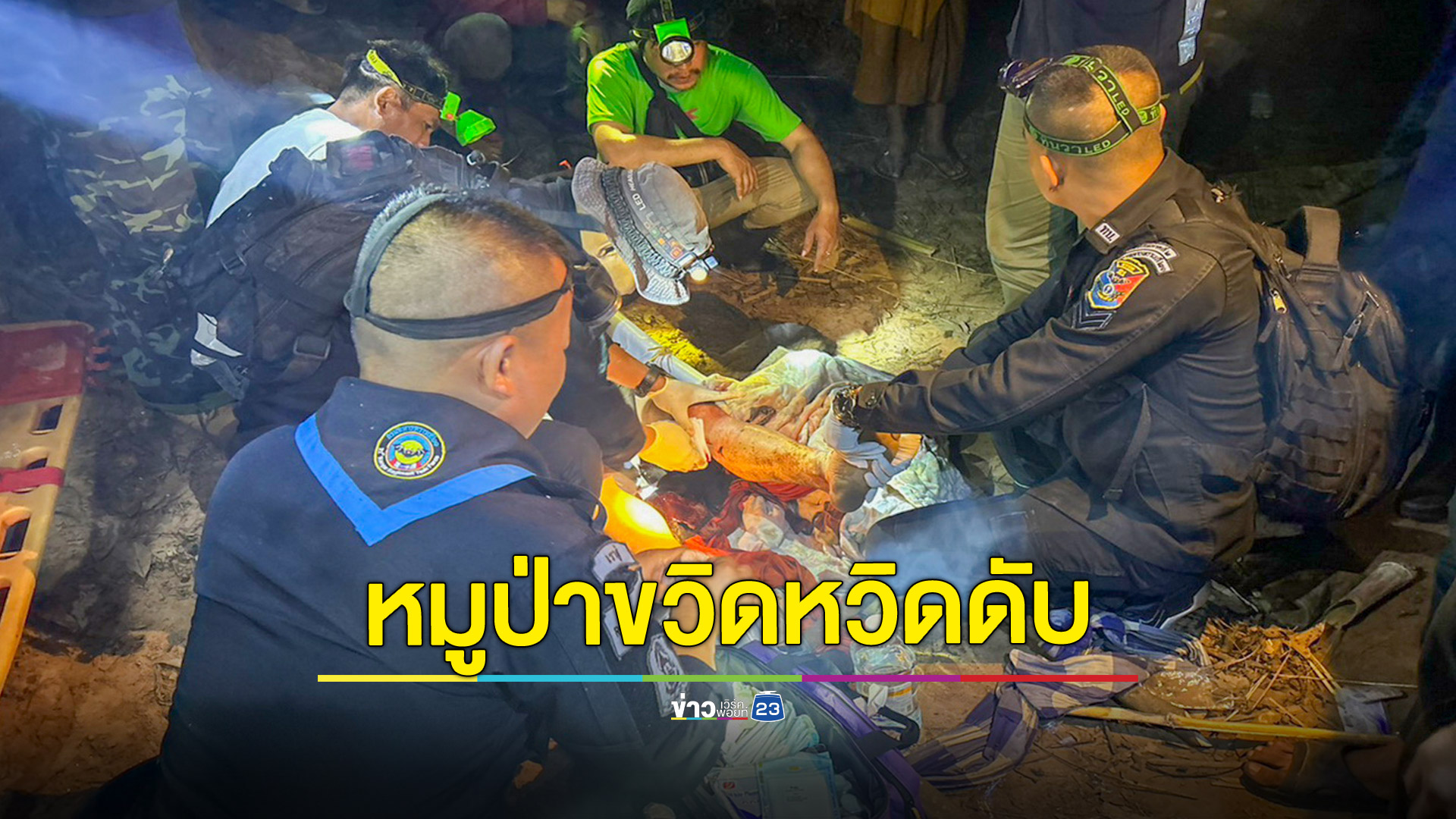 ชาวบ้านนำวัวควายไปเลี้ยงในป่าเจอหมูป่าตัวใหญ่ขวิดเจ็บสาหัส