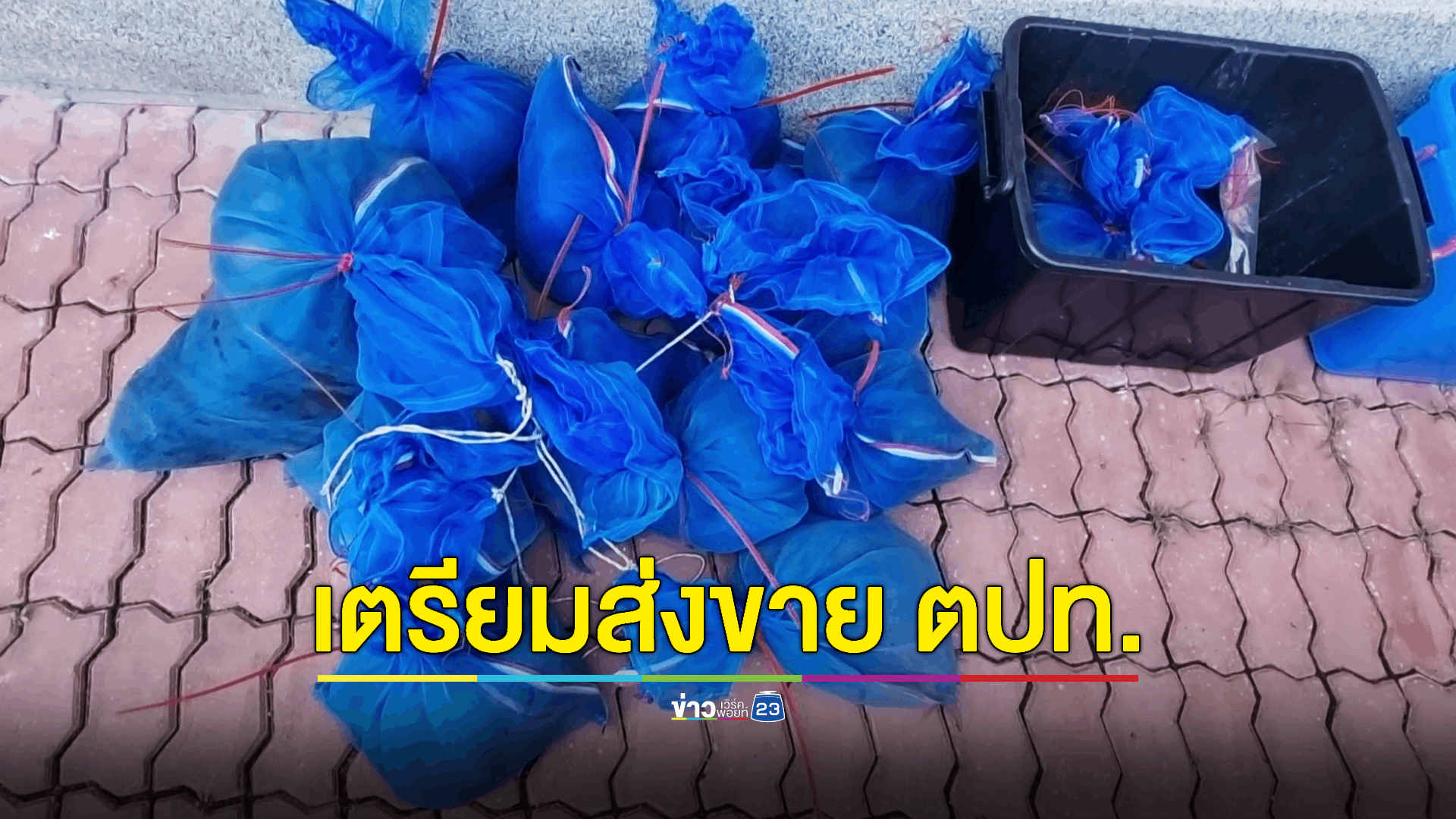จนท.เข้าตรวจสอบหลังได้รับแจ้งจากชาวบ้านพบลูกลิง 17 ตัวถูกใส่ถุงแขวนห้อยเป็นราวในป่าคาดเตรียมส่งขาย