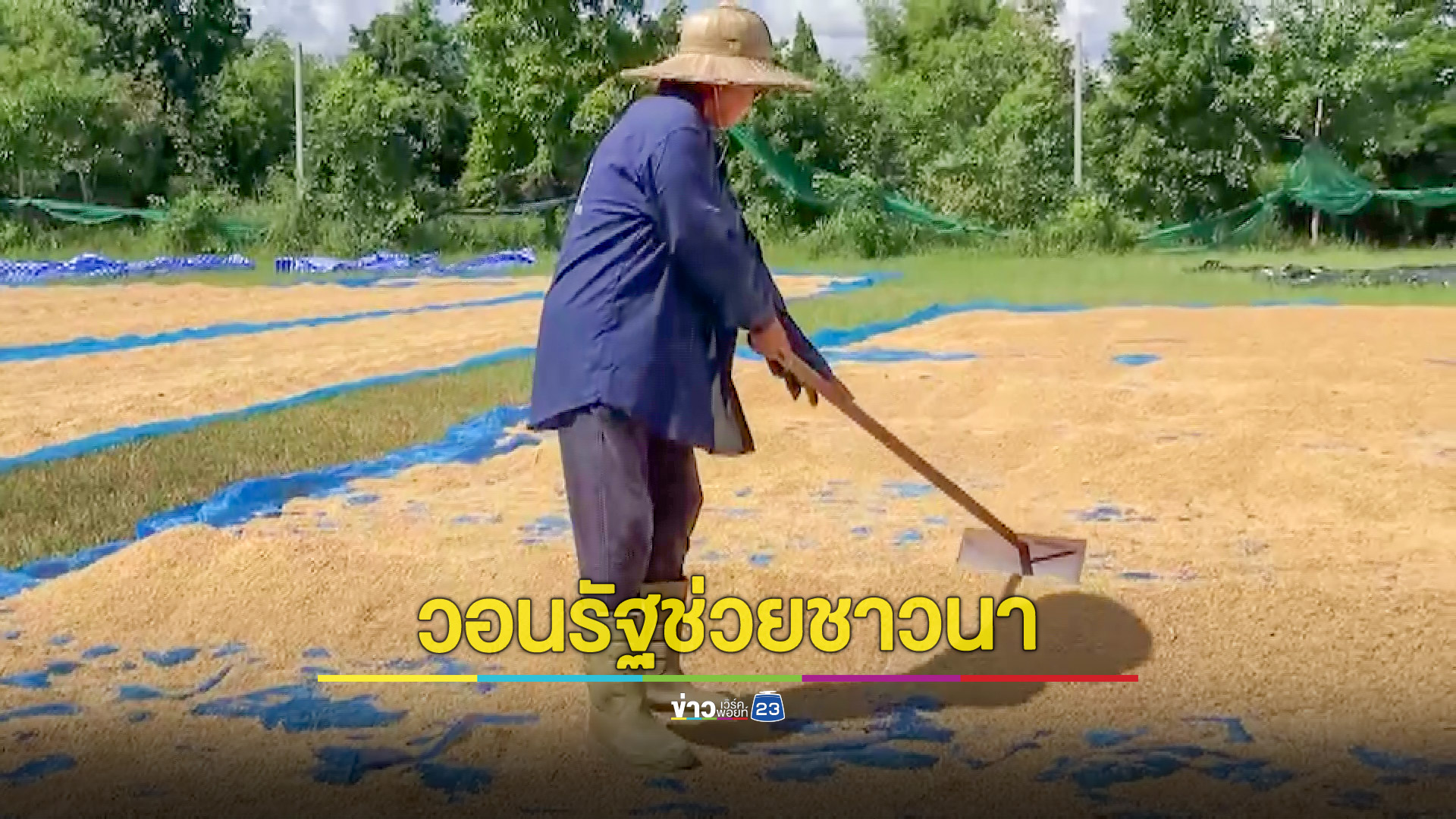 ชาวนาวอนรัฐจัดประกันราคาข้าว-ช่วยค่าเก็บเกี่ยว