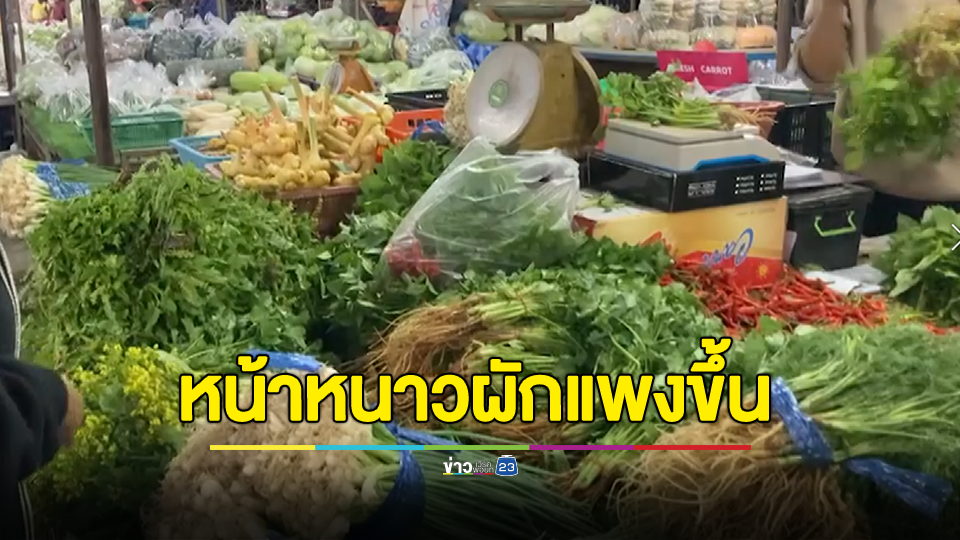 พ่อค้าขายผักสดพิมายโอด อากาศเริ่มหนาวผักขึ้นราคาสูงเท่าตัว