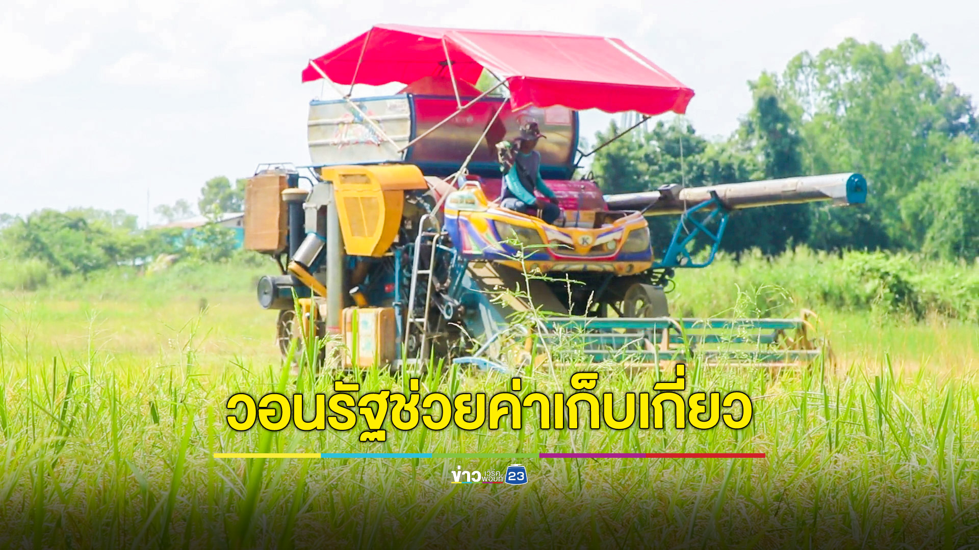 ราคาข้าวเปลือกตกต่ำต่อเนื่อง ชาวนาวอนรัฐเร่งช่วยค่าเก็บเกี่ยวไร่ละ 1,000 บาท