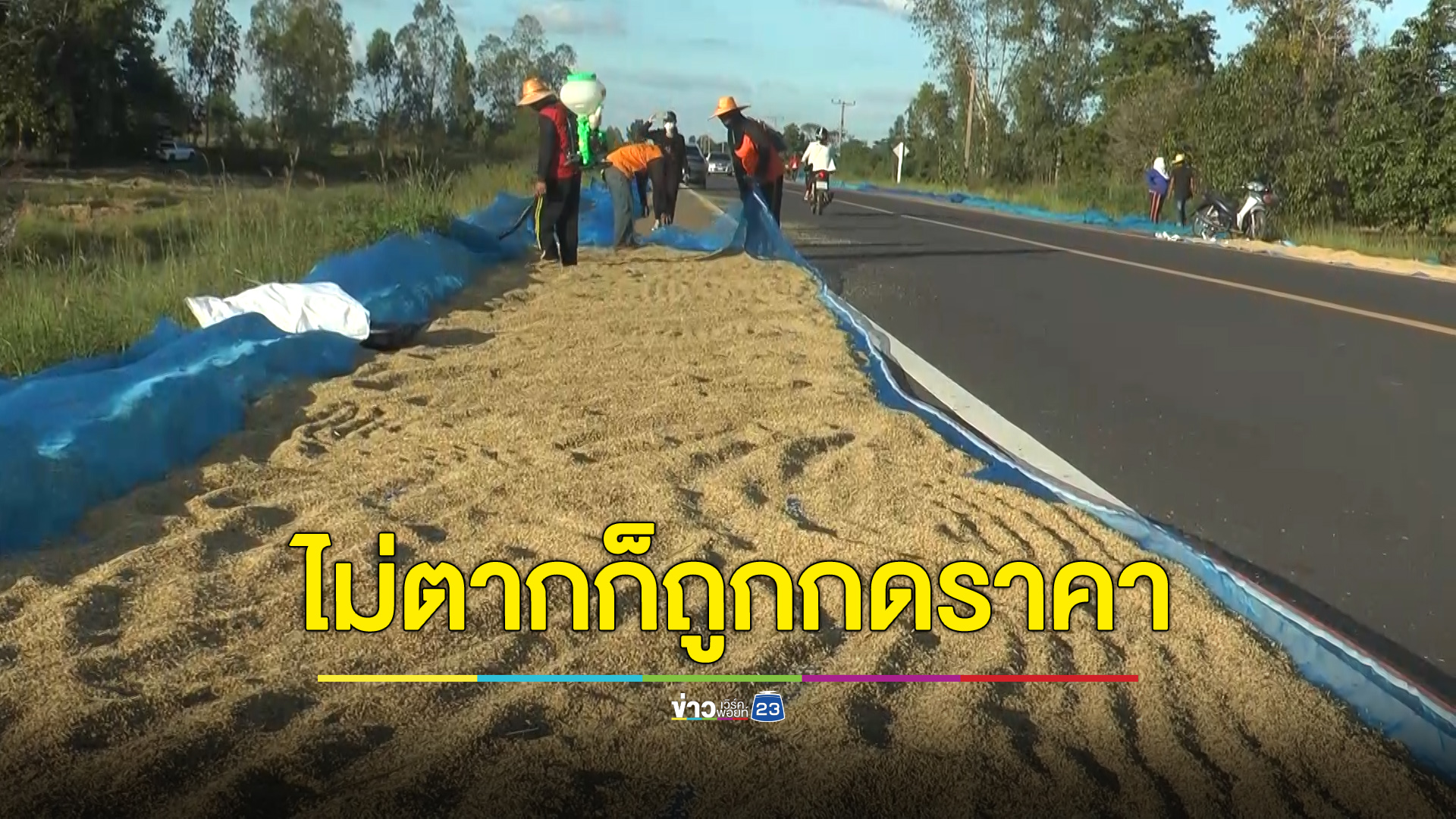 ชาวนาวอนโปรดเข้าใจ ต้องตากข้าวไม่ให้ถูกกดราคา