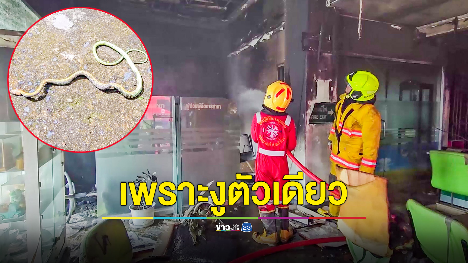 ลูกงูเขียวตัวเดียวทำไฟไหม้ธนาคาร ธกส.
