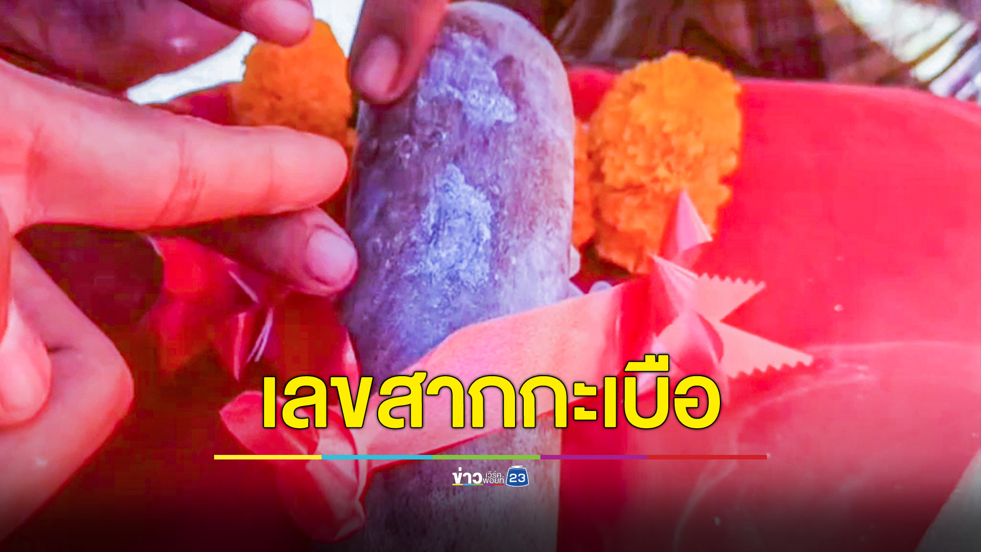 ชาวบ้านได้เลขเด็ดสากกะเบือหากได้โชคใหญ่เตรียมแก้บนด้วยสาก 100 อัน