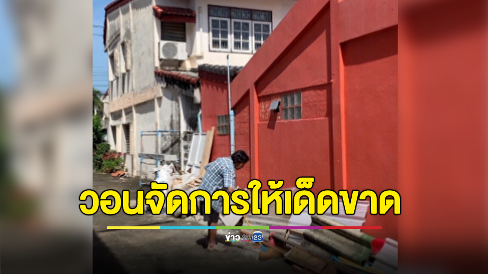 อีกแล้ว! มนุษย์ป้าไม่เข็ดให้อาหารนกพิราบไม่หยุด