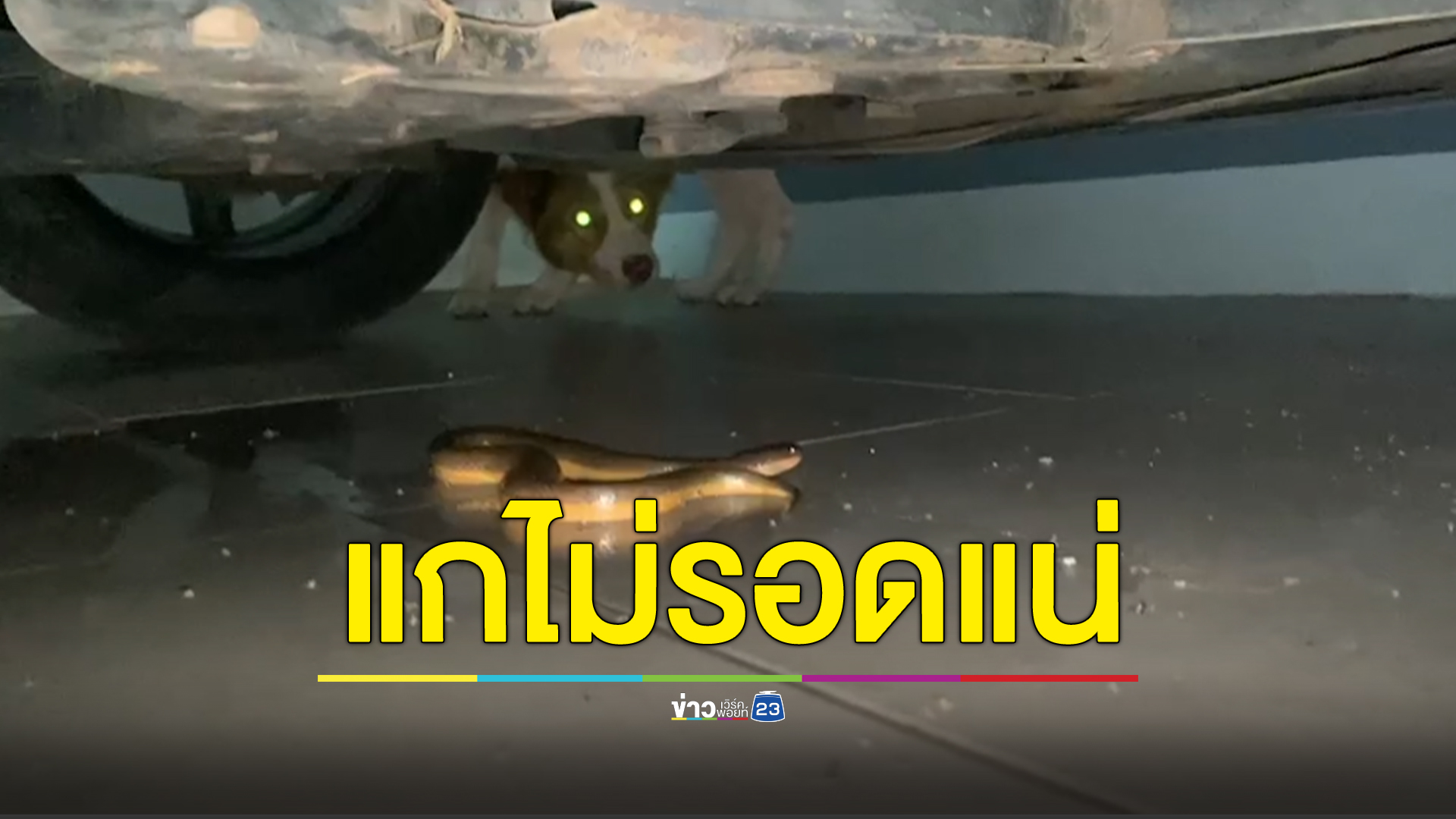 แกไม่รอดแน่!!