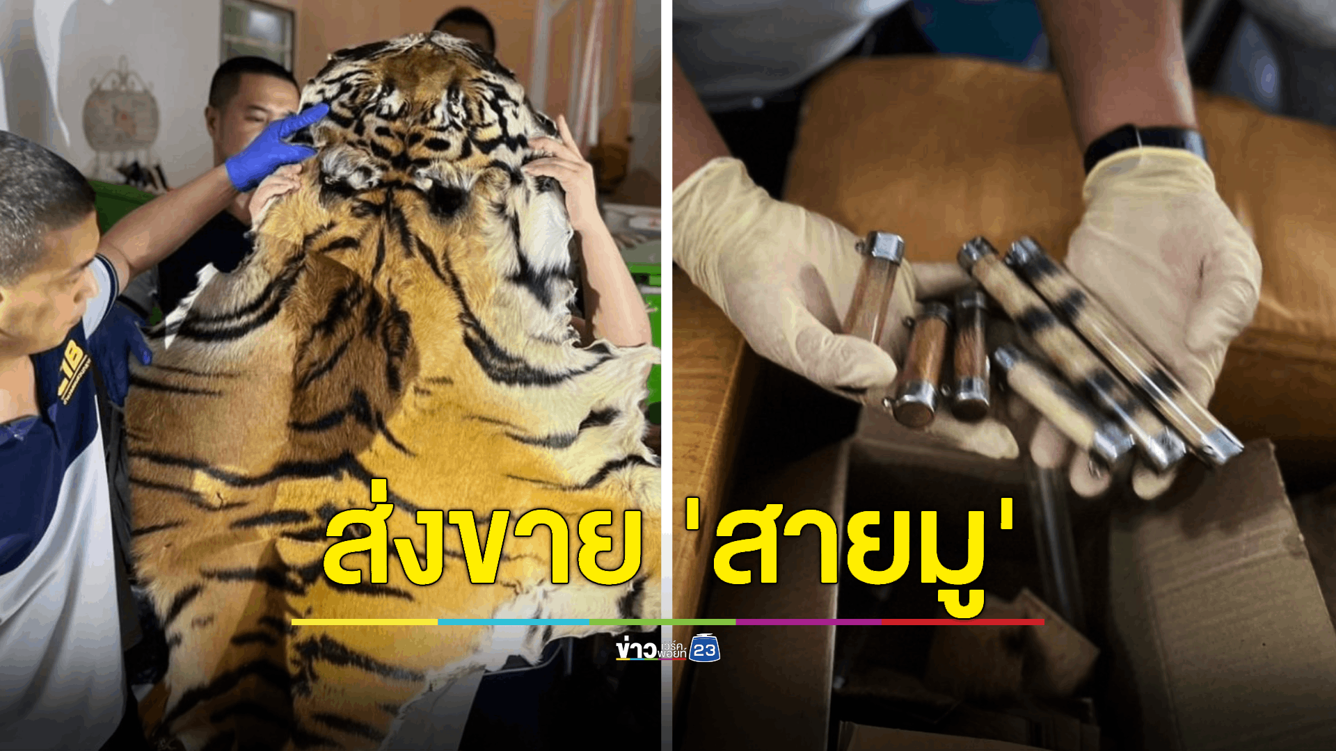 ตำรวจสอบสวนกลาง (CIB)จับกุมพ่อค้าขายหนังเสือทางออนไลน์ มีลูกค้านักสะสม-สายมูจำนวนมาก