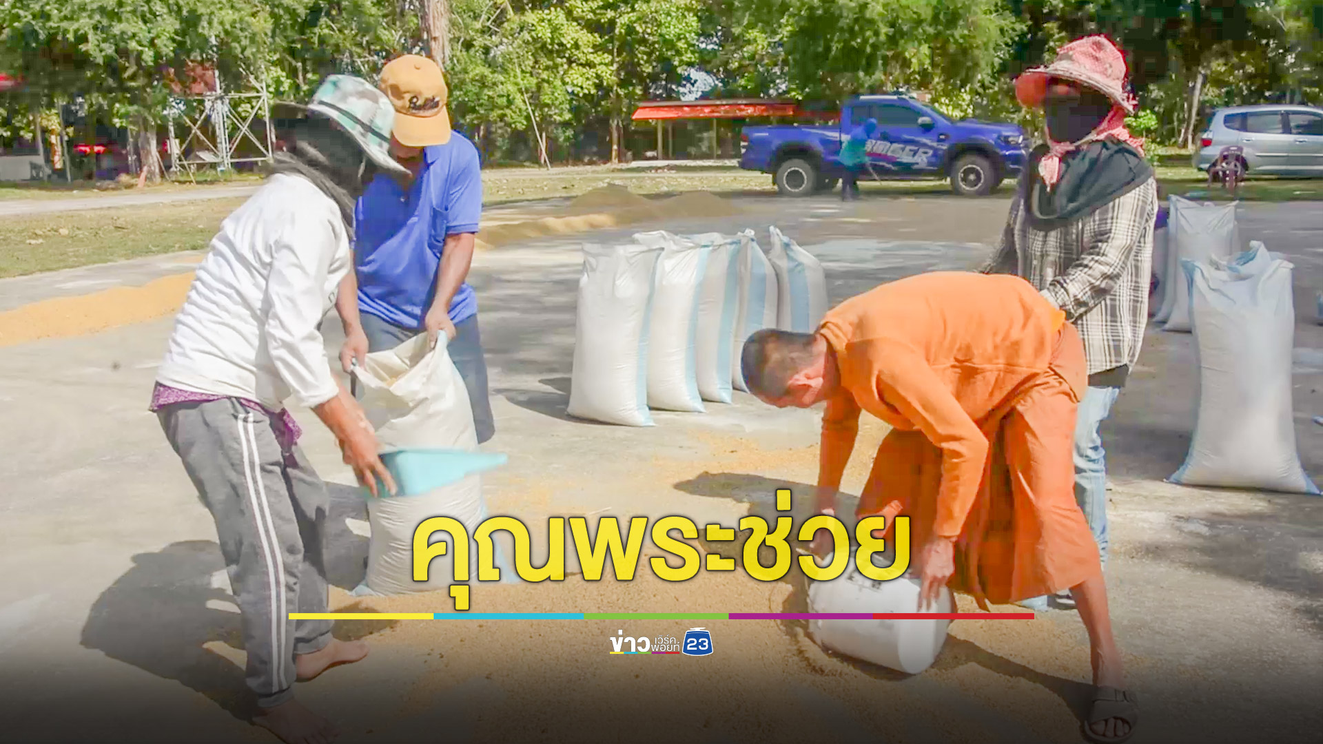 คุณพระช่วย! ชาวนาตากข้าวลานวัด