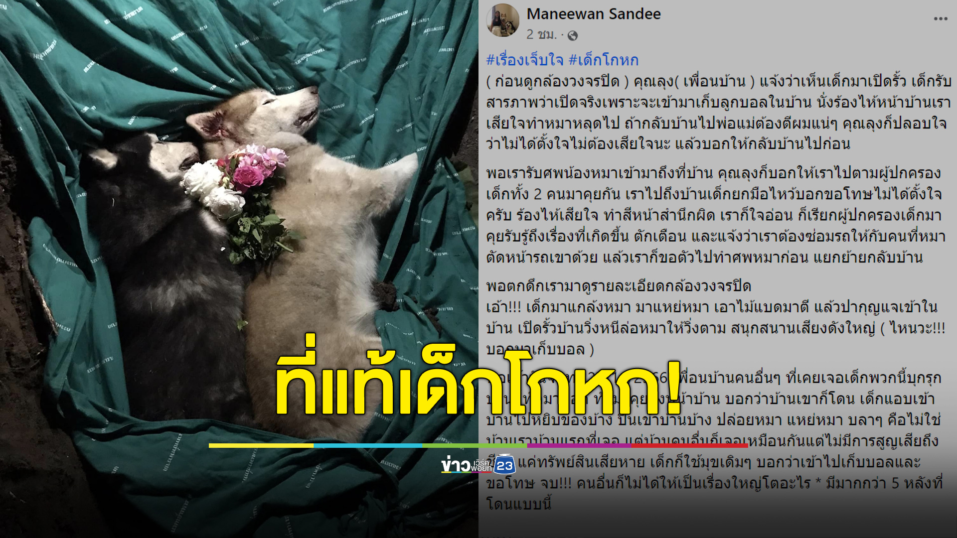ที่แท้เด็กโกหก! เจ้าของช้ำเด็กแอบมาแกล้งหมาไซฯ จนหลุดจากกรง
