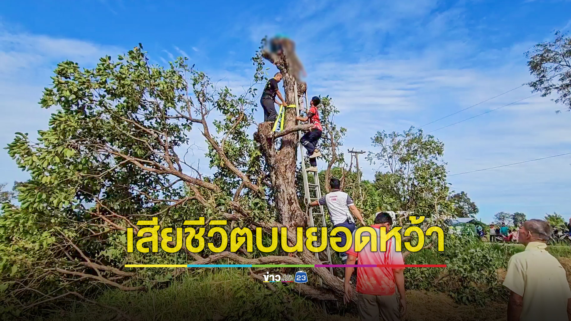อุทาหรณ์! ลุง 62 ปีปีนตัดต้นหว้าพลาดโดนไม้ทับดับคายอด