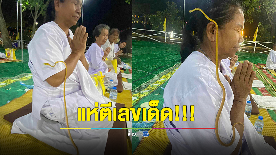 แห่ตีเลขเด็ด!!! งูสีทองเลื้อยขึ้นตัว ขณะปฎิบัติธรรม เชื่อมาให้โชค