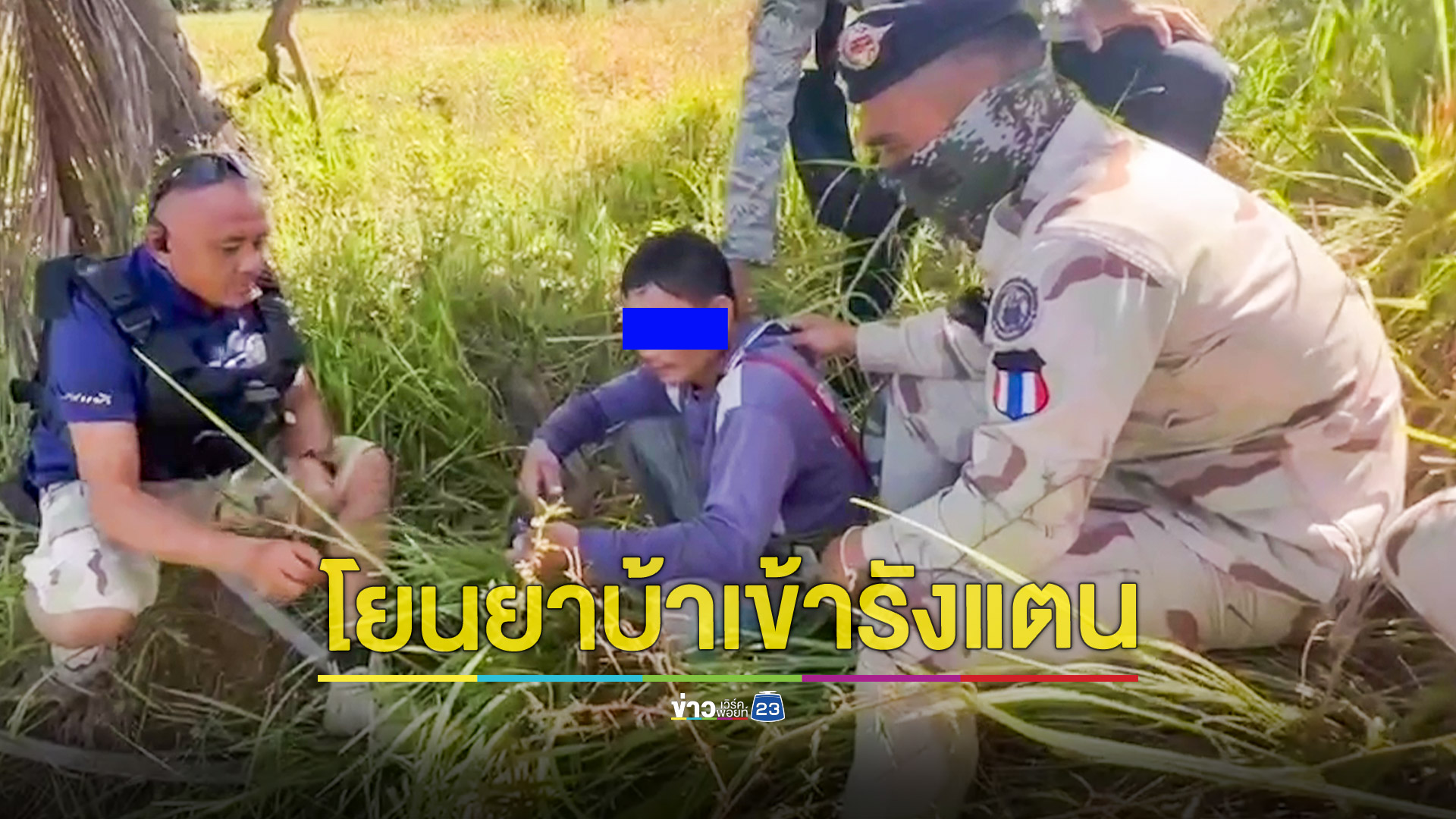 รวบพ่อค้ายาบ้าขณะกำลังเล่นว่าวได้ของกลาง 119 เม็ดพร้อมปืนเอ็ม 16 ขณะเข้าจับกุมโยนของกลางเข้ารังแตน จนท.โดนแตนต่อยปูดบวม