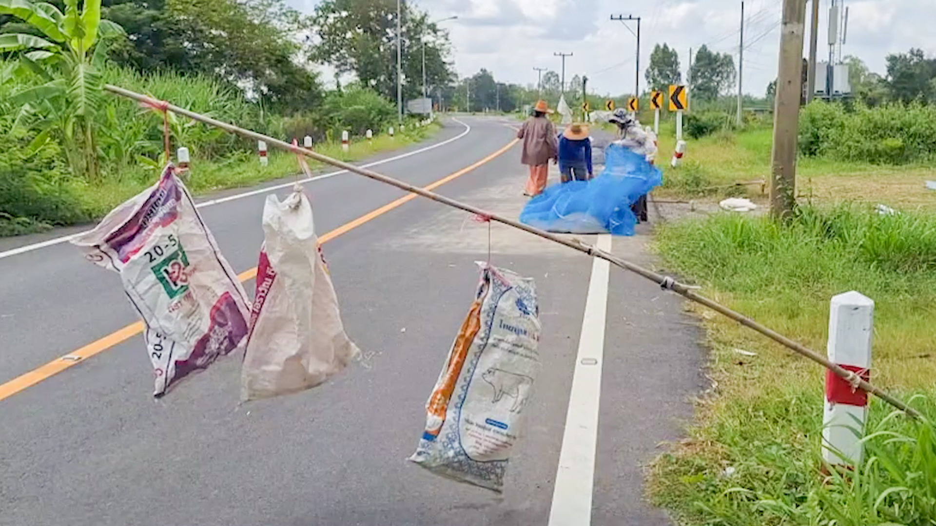 ปัญหาซ้ำซากตากข้าวบนถนน ชาวนาหวังนายกรัฐมนตรีนำไปวิเคราะห์เพื่อหาทางแก้ไข