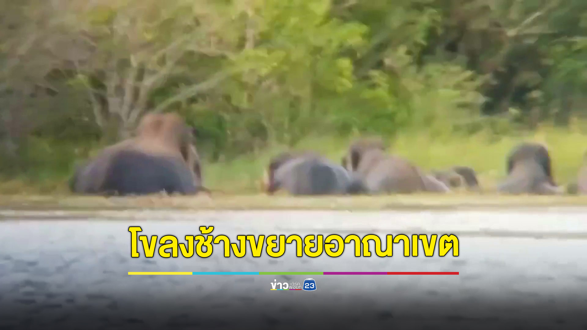 โขลงช้างป่ากว่า 40 ตัวขยายอาณาเขตหากินข้ามอำเภอ หวั่นทำร้ายชาวบ้าน