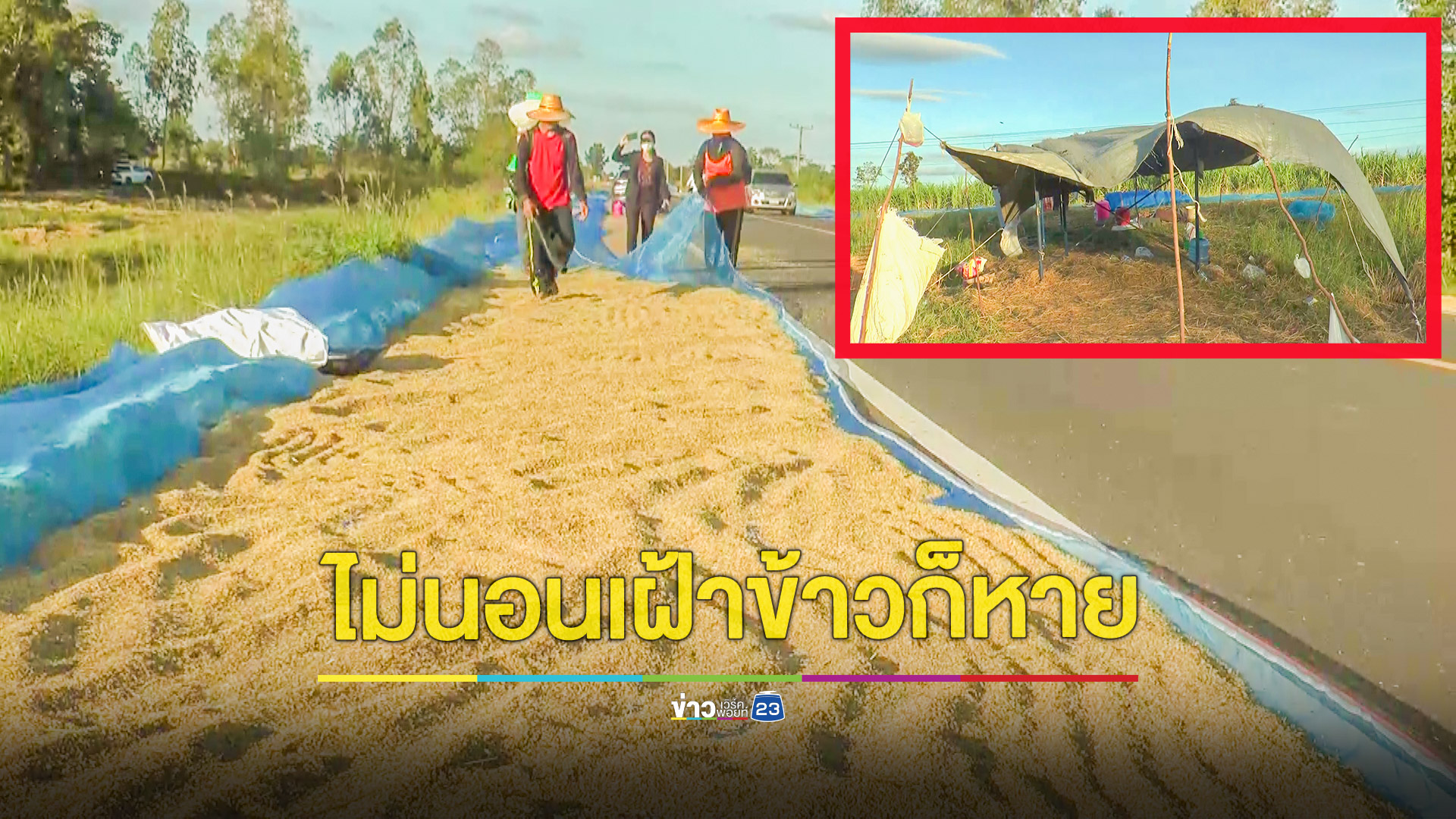 ชาวนากางเต็นท์นอนเฝ้าข้าวเปลือกตลอด 24 ชม.ท่ามกลางลมหนาว ป้องกันโจรขโมย