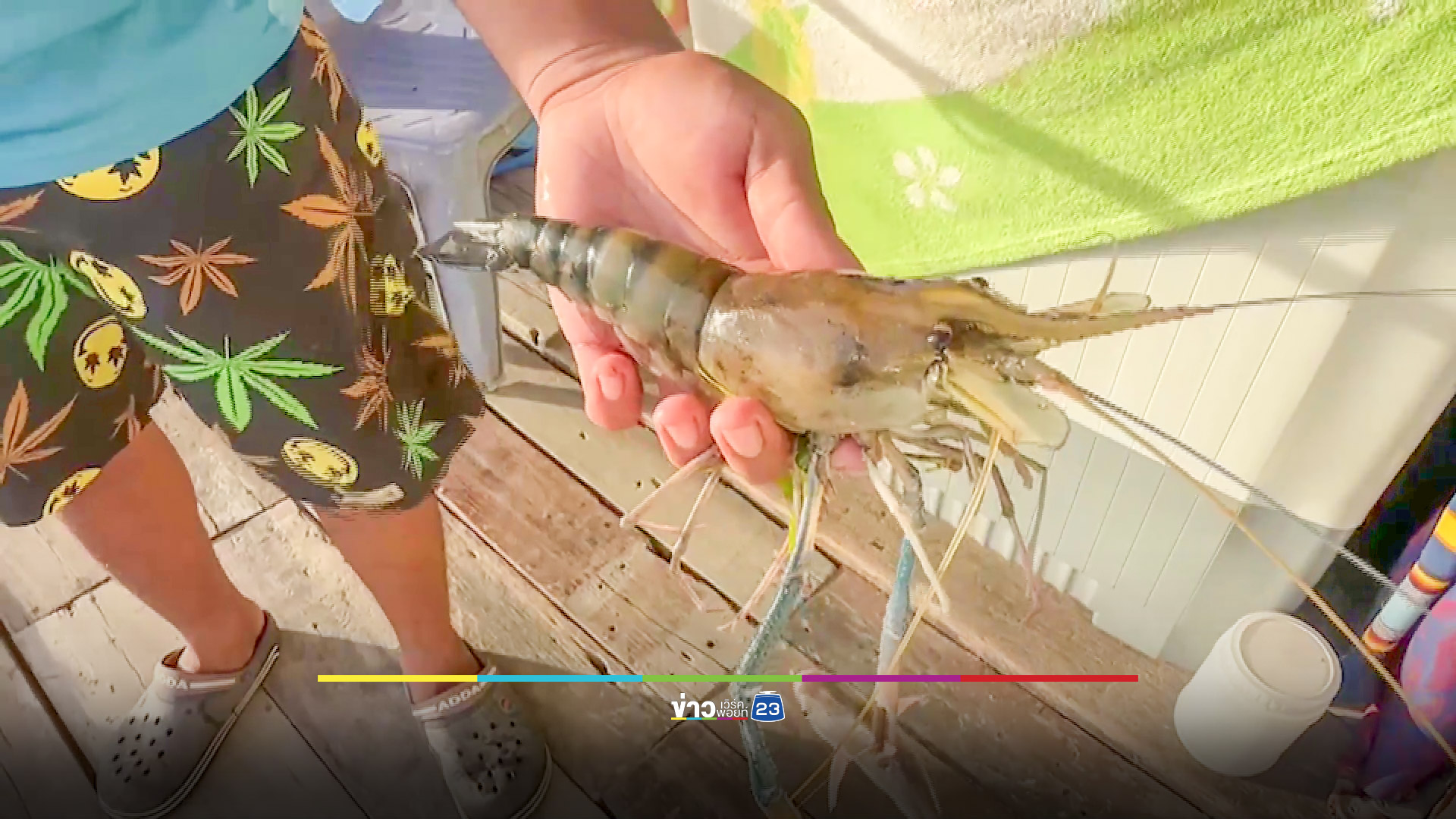 คนแห่จับปลา-กุ้งน็อกน้ำในแม่น้ำบางปะกง