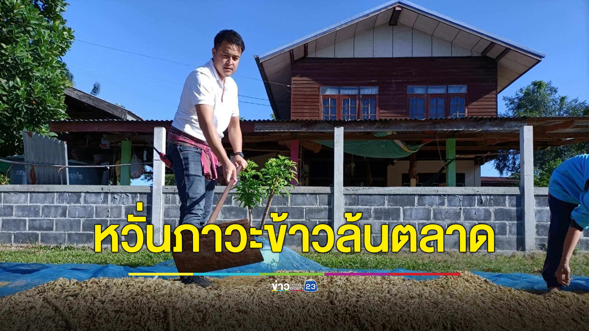 สส.ไทยสร้างไทย เร่งรัฐบาลวางมาตรการบริหารข้าวเปลือก หวั่นภาวะข้าวล้นตลาด
