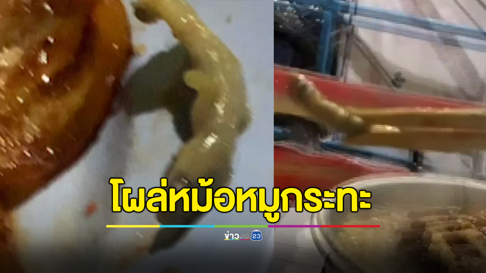 อ้วกแทบพุ่งพาแฟนสาวไปนิ่งกินหมูกระทะรับบรรยากาศสุดฟินกำลังอร่อยเจอจิ้งจกในน้ำชุปต้มแล้วจนเปื่อย แจ้งทางร้านได้ชดเชยเป็นผัก 1 ชุด