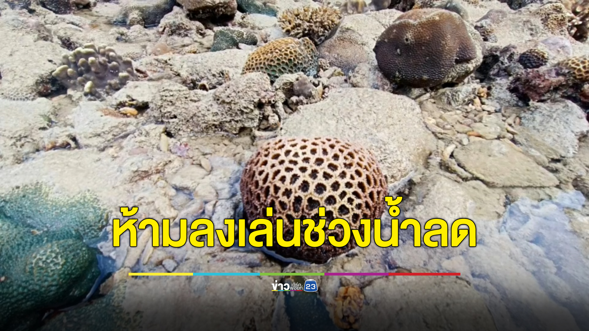 ดราม่านทท.ฝืนคำเตือนลงเล่นน้ำเกาะห้องช่วงน้ำลดจับหอยมือเสือ