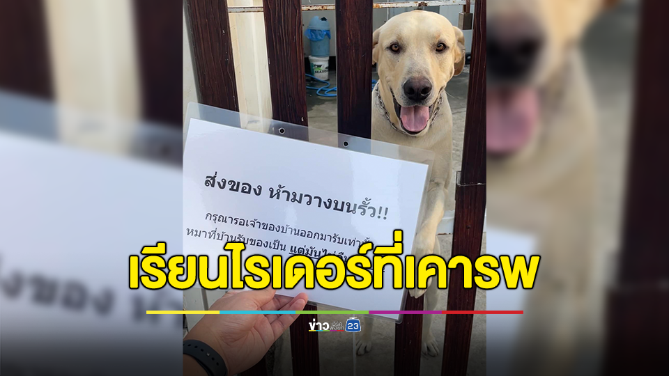 เป็นเหมือนกันไหม? เรียนพี่ไรเดอร์ที่เคารพ "หมาที่บ้านรับของเป็น แต่มันไม่คืน"